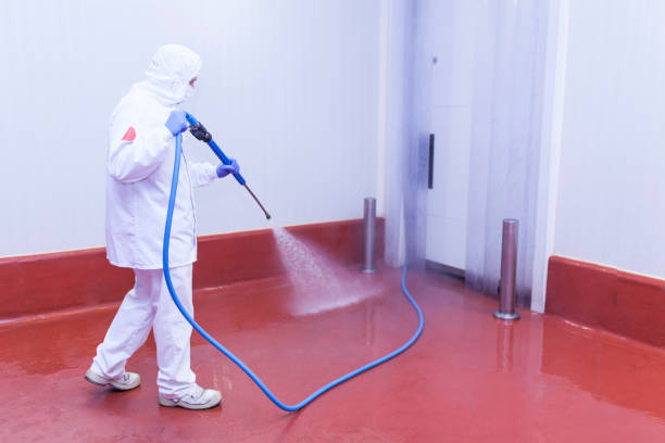 Best Boat and Dock Cleaning  in Prairieville, LA